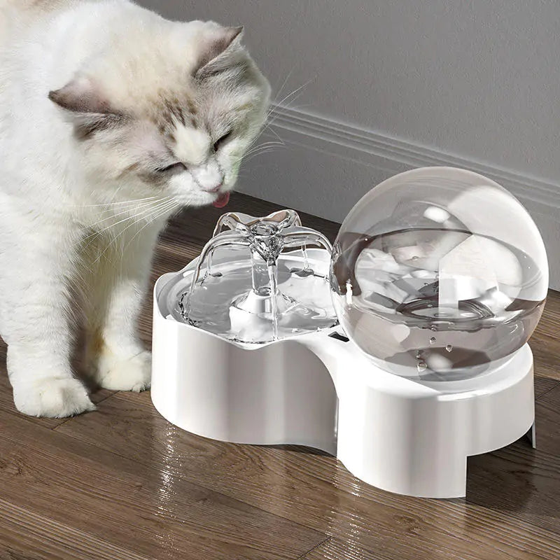 LuxiPet Cats and Dogs Bowl