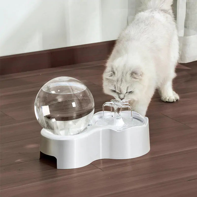 LuxiPet Cats and Dogs Bowl